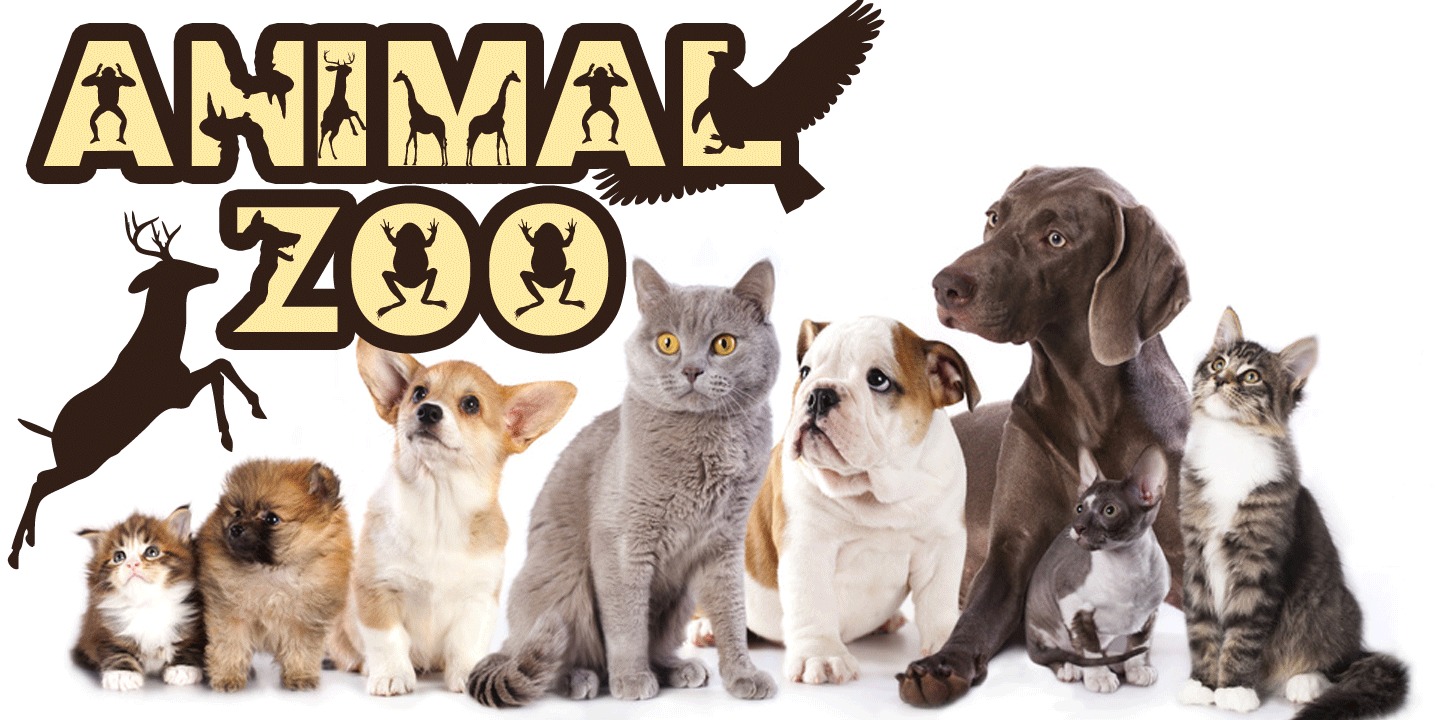 Animal Zoo Font font & Desktop MyFonts