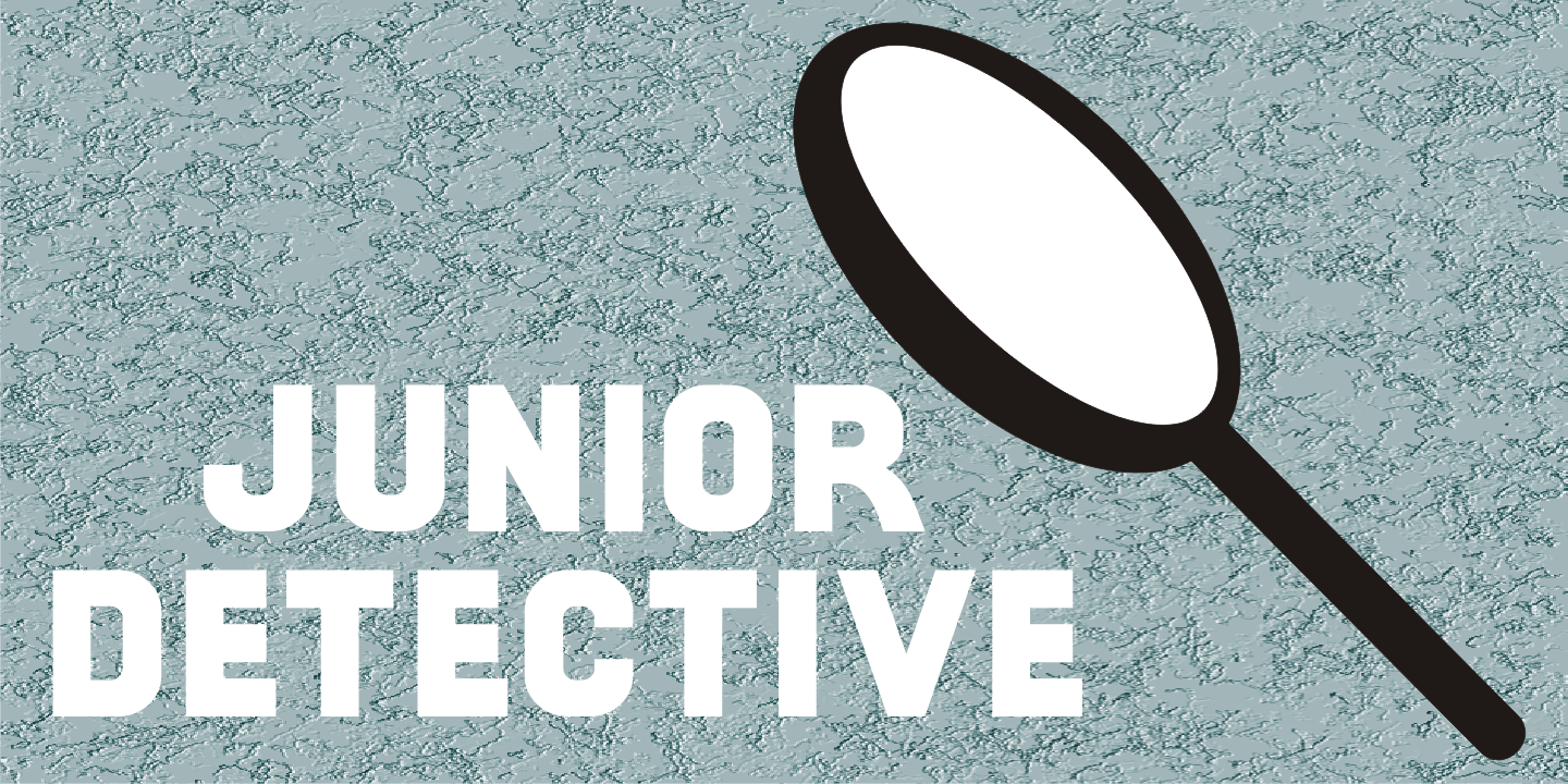 Junior Detective JNL