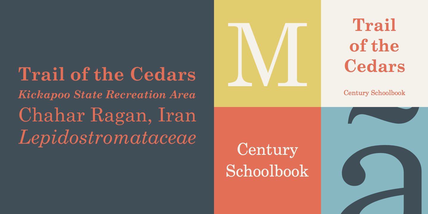 Century® Schoolbook