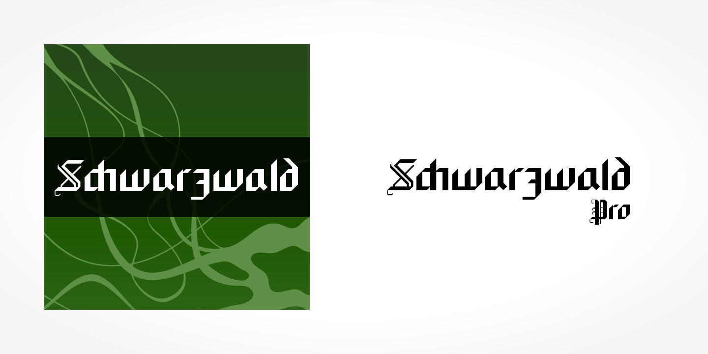 Schwarzwald Pro™