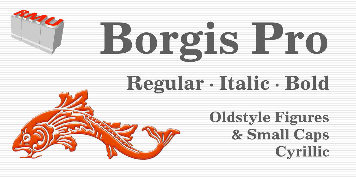Borgis Pro™