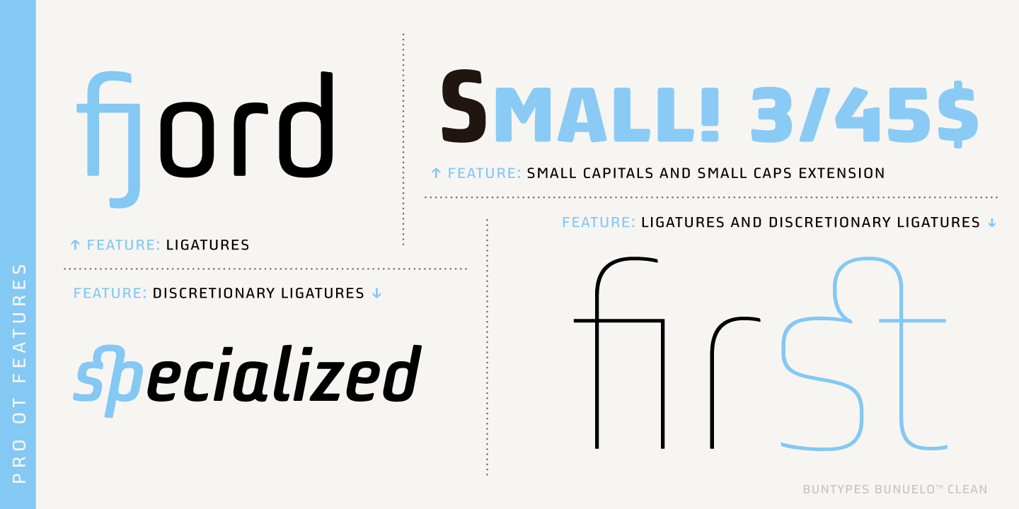 Bunuelo Clean Pro™