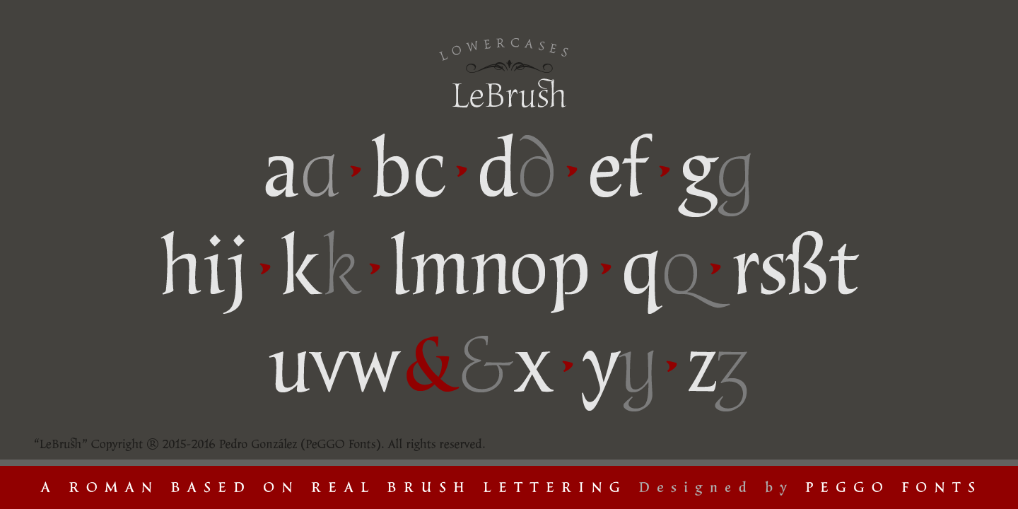 LeBrush