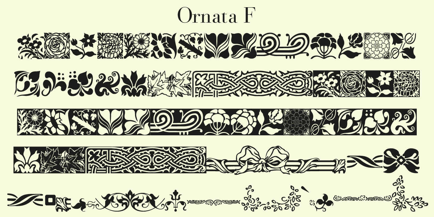 Ornata F