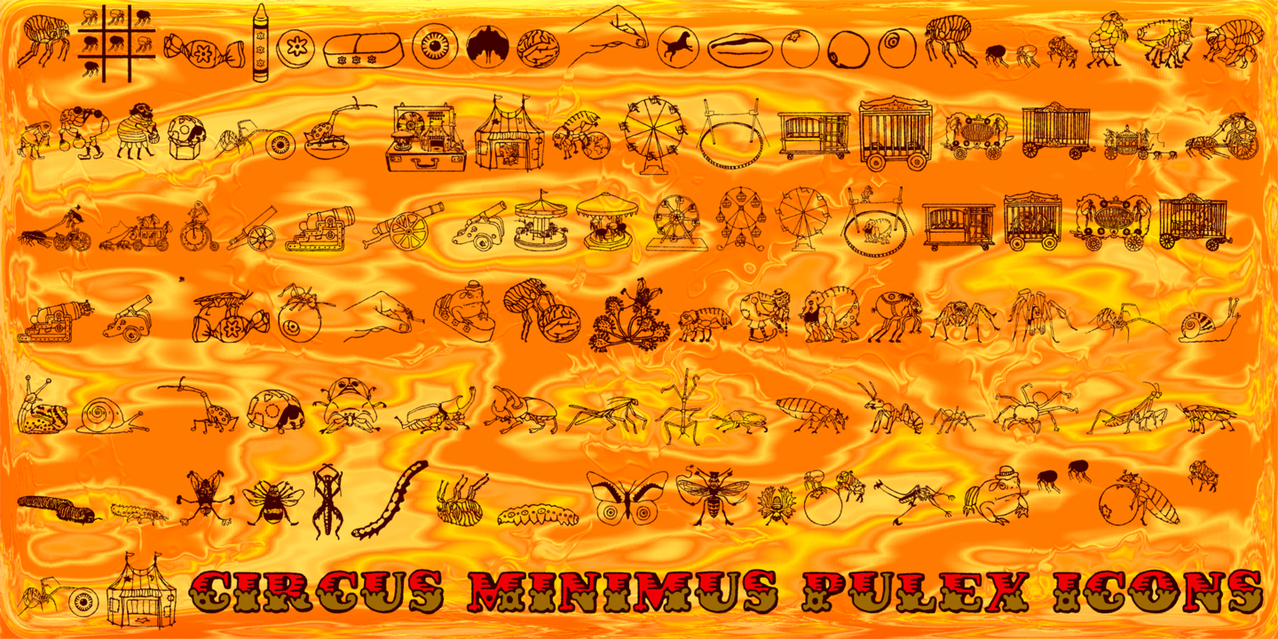 Circus Minimus Pulex