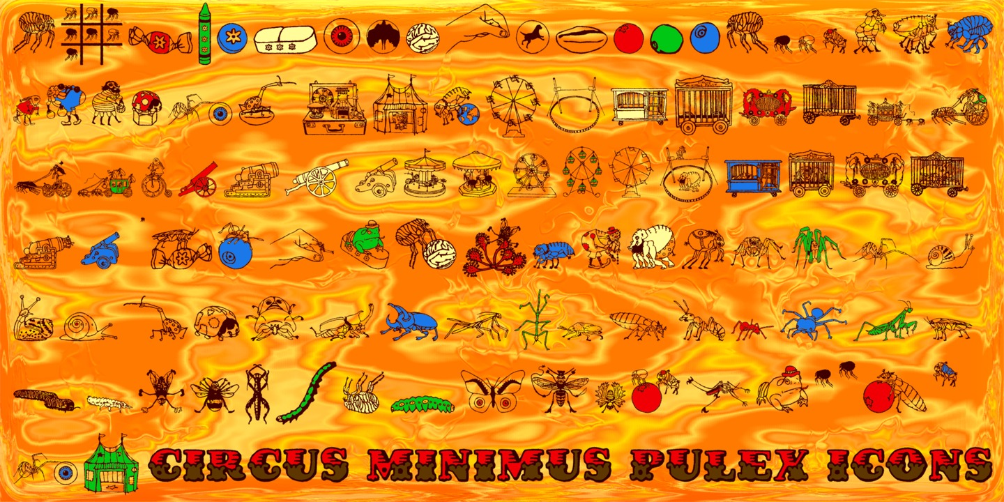 Circus Minimus Pulex