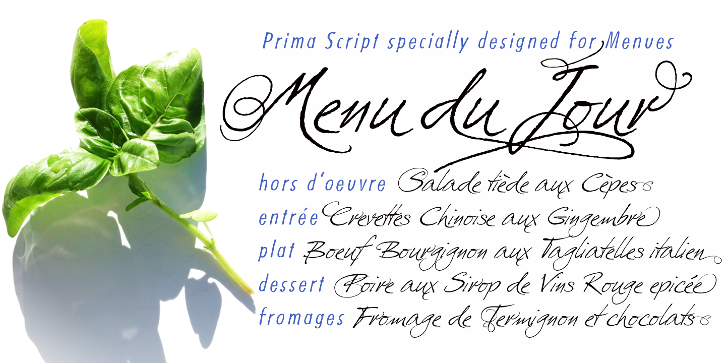 Prima Script