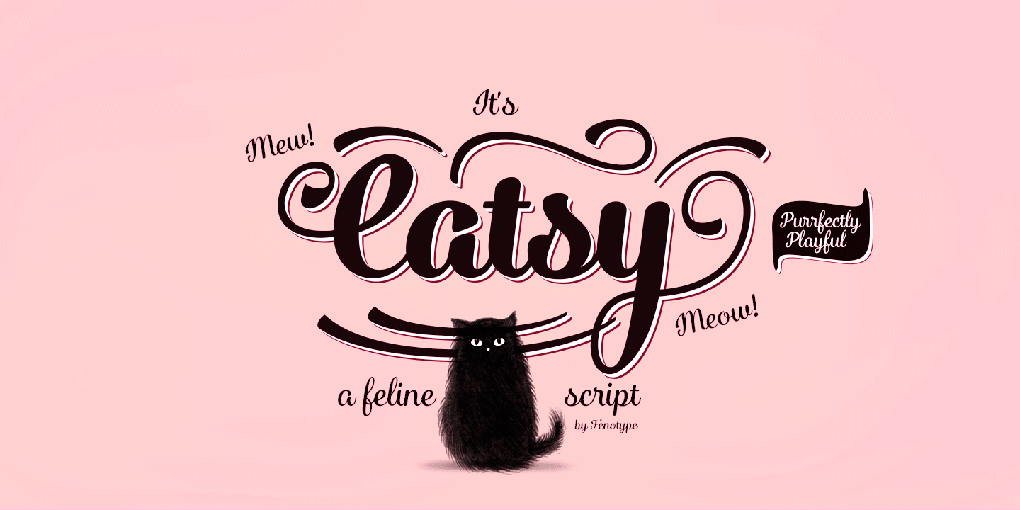 Catsy™
