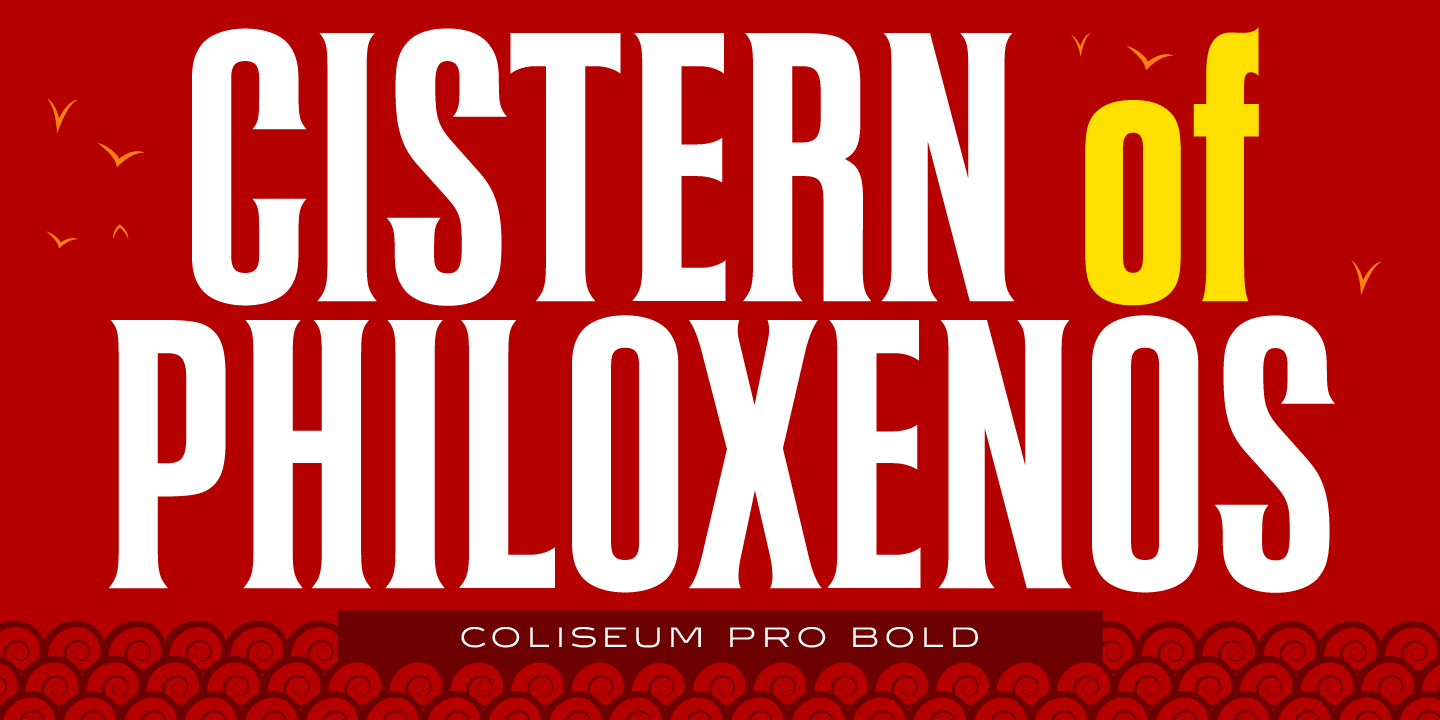 Coliseum Pro™
