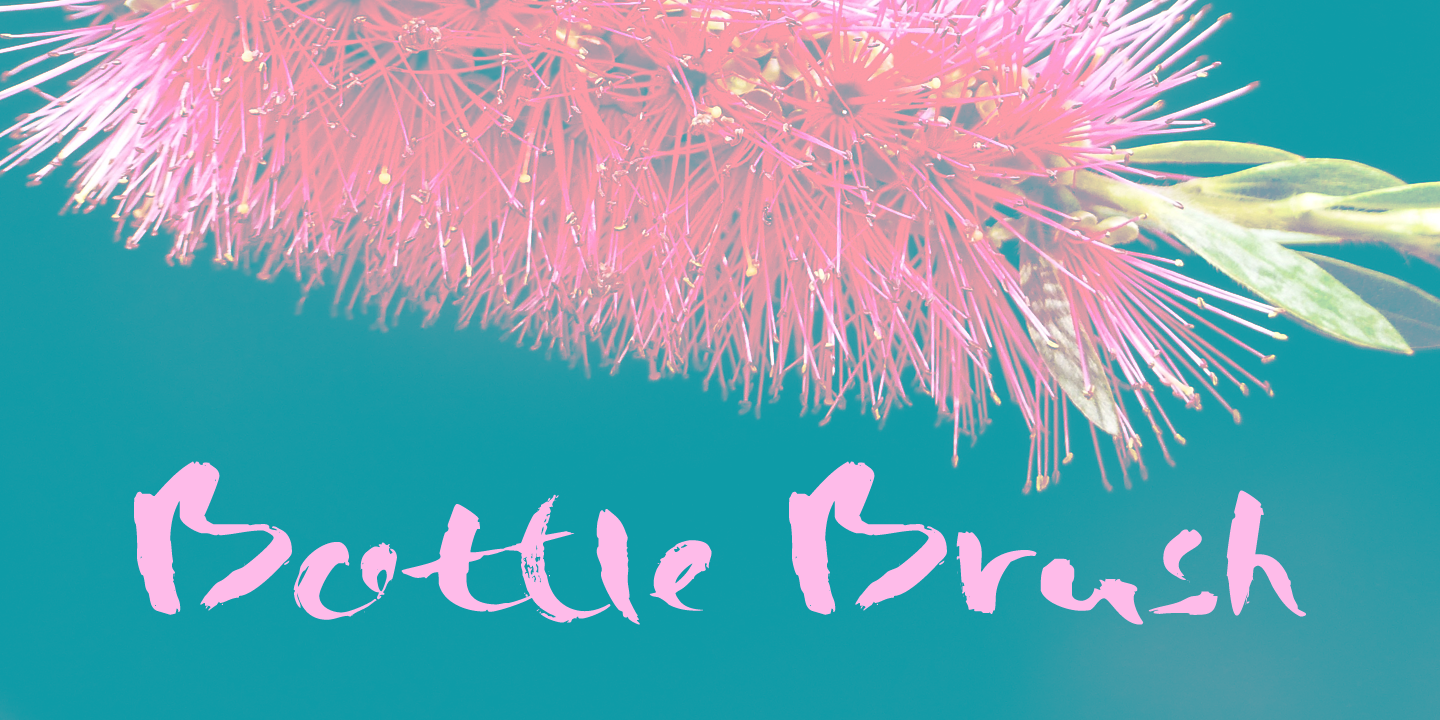 Bottle Brush