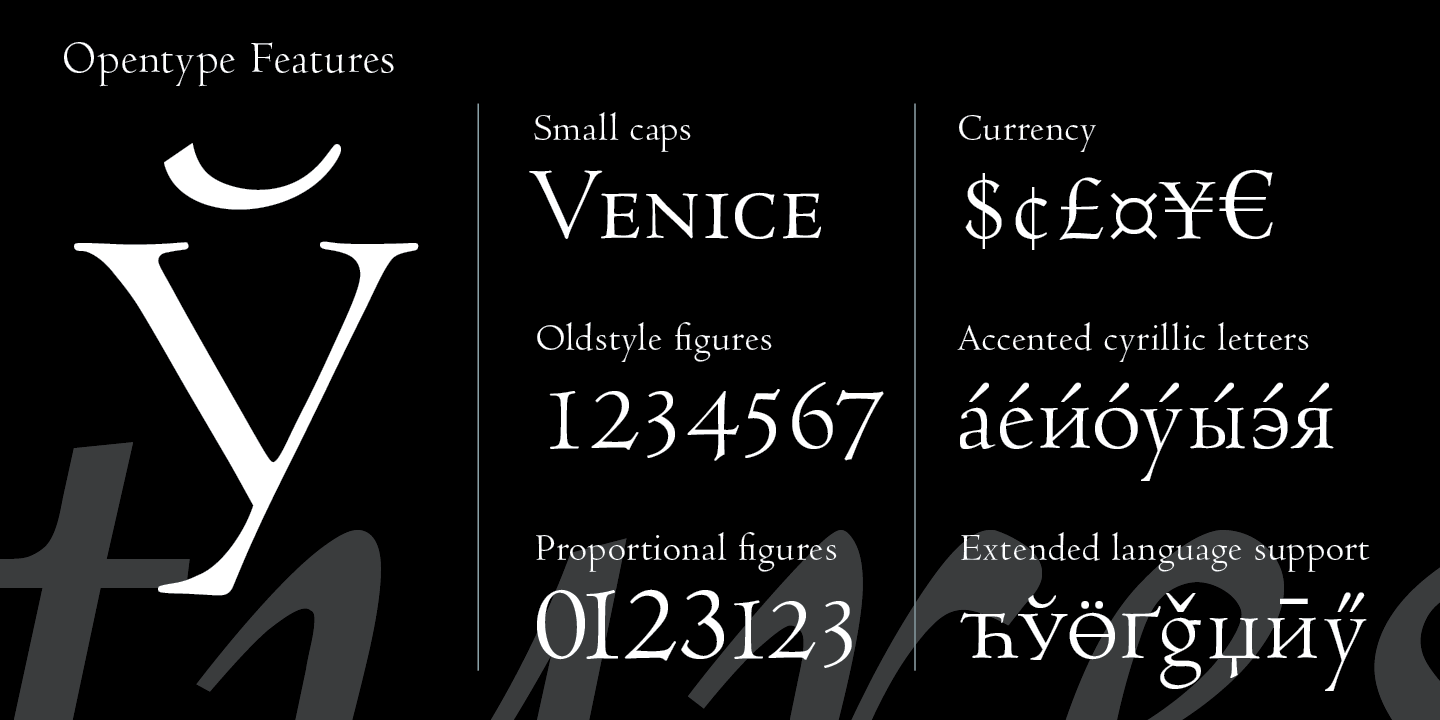 301 Webfont & Desktop font MyFonts
