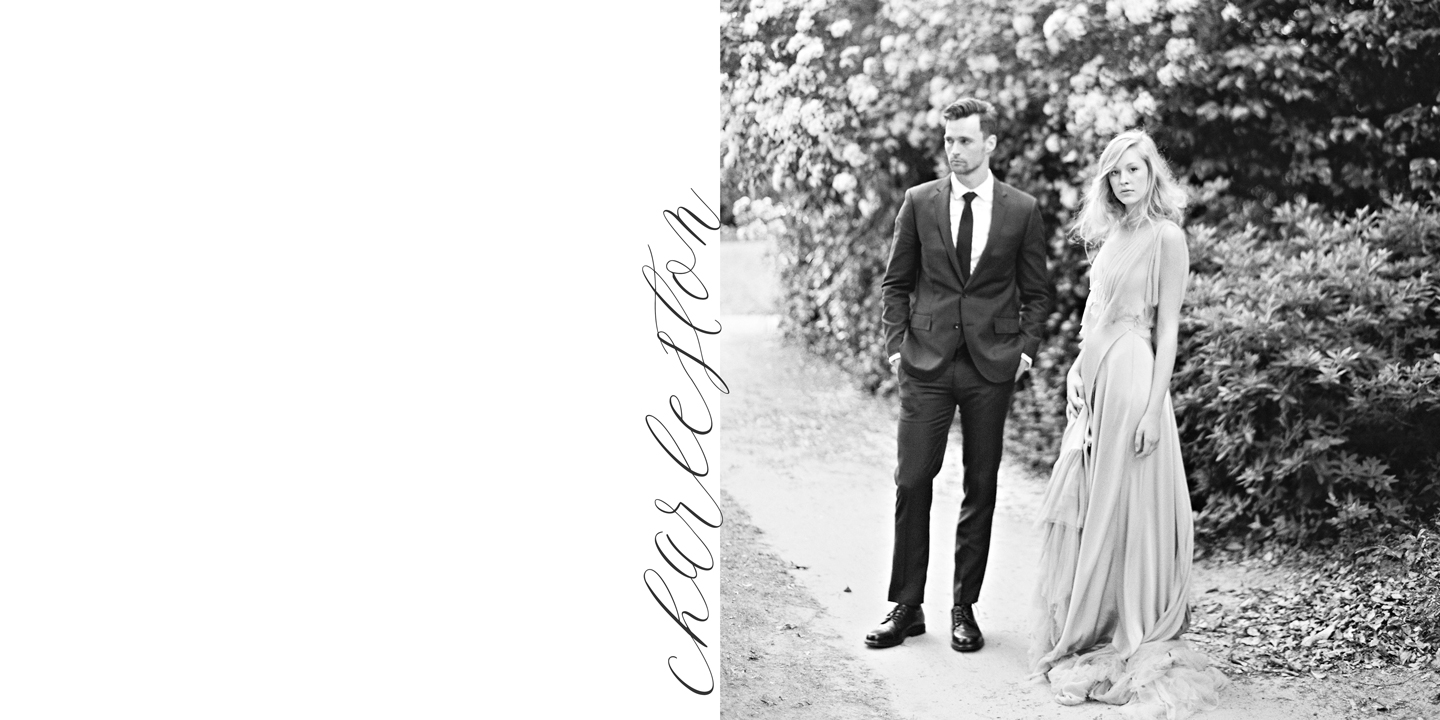 Rare Bird Specimen III