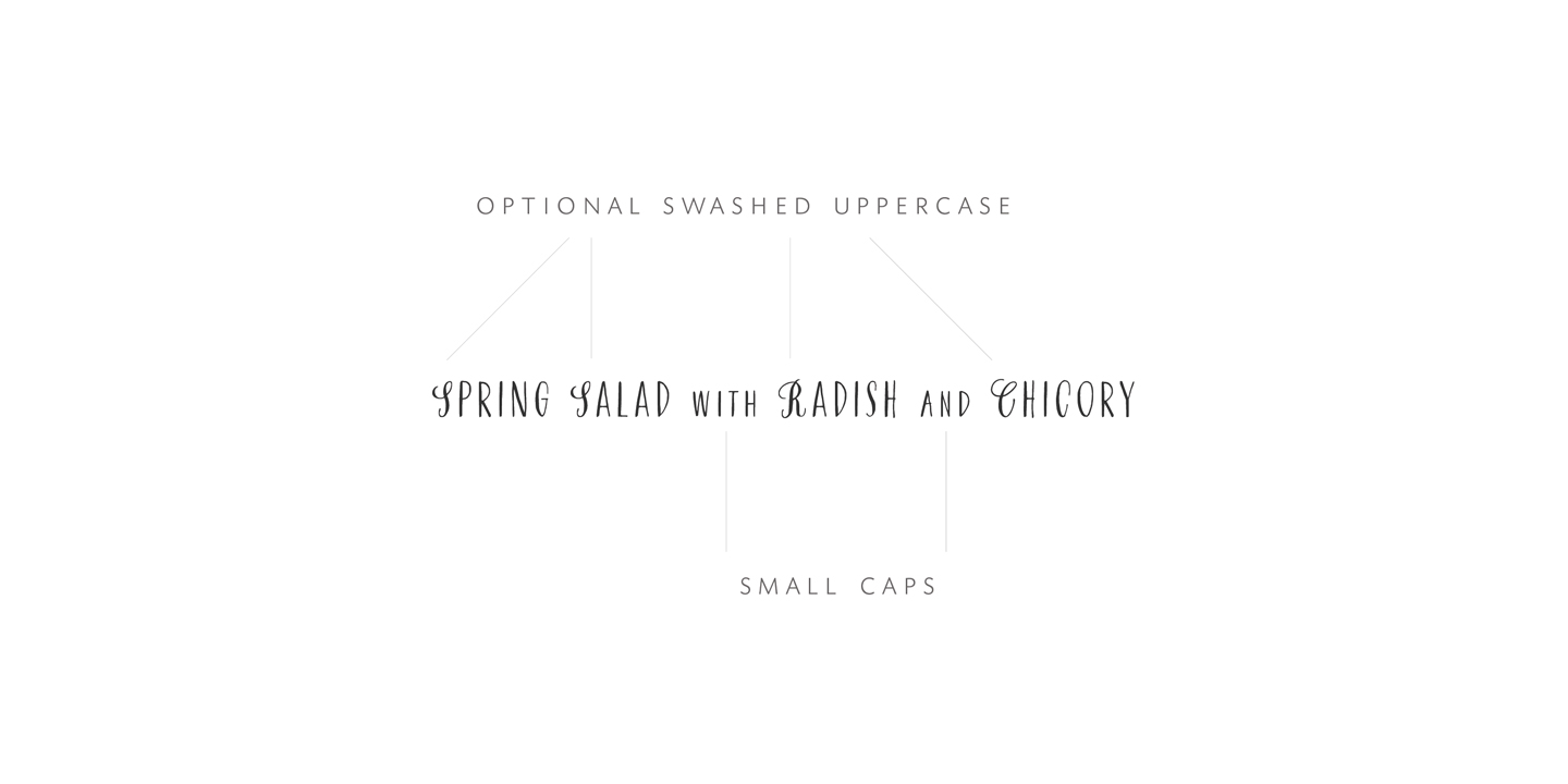 Rare Bird Specimen IV