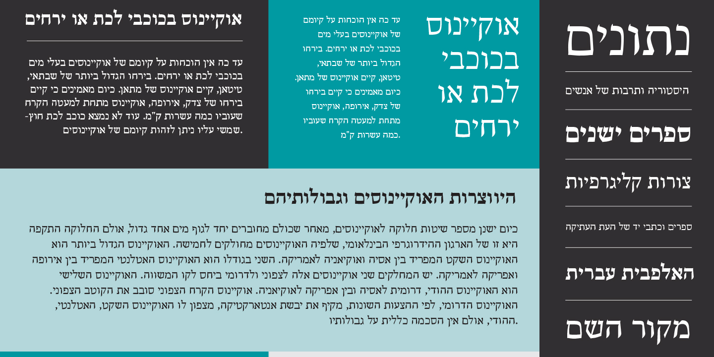 Escritura Hebrew™