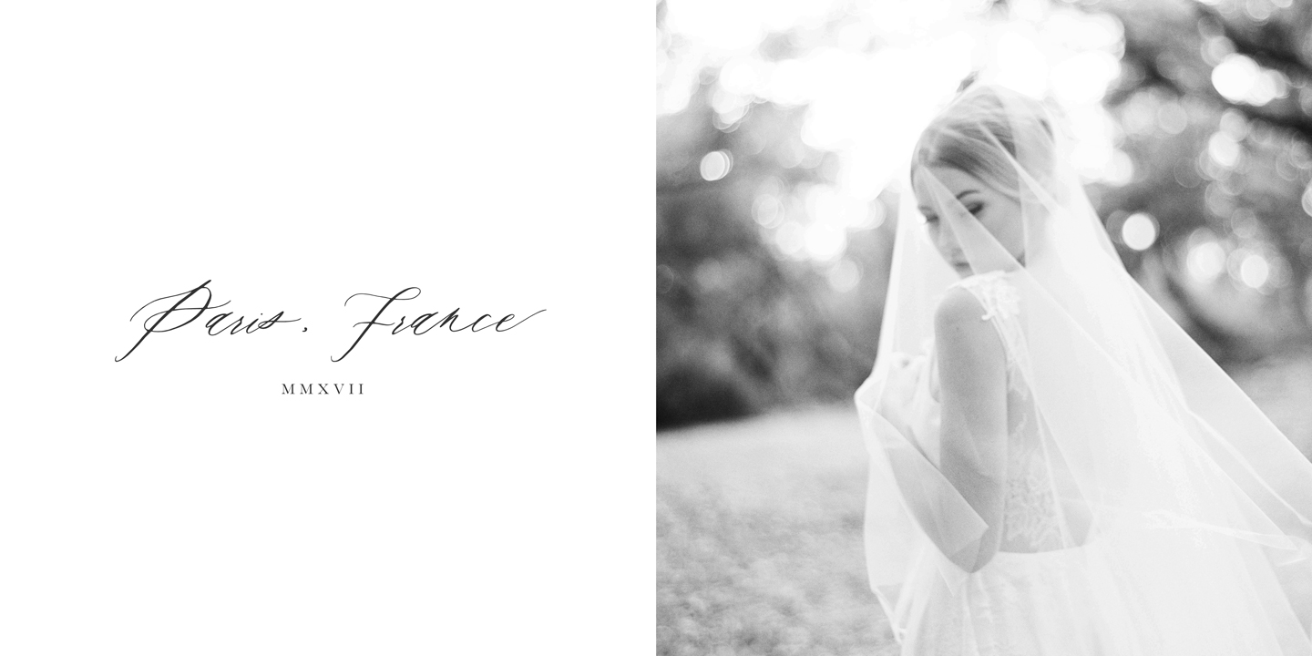 Rare Bird Specimen II