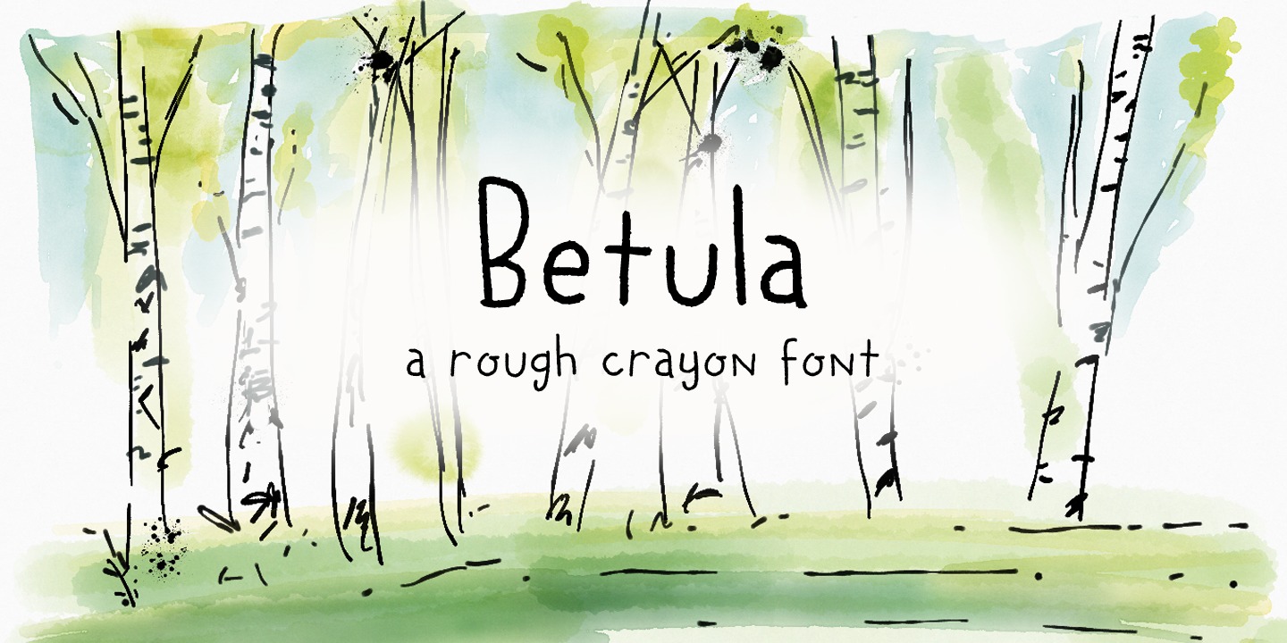Betula