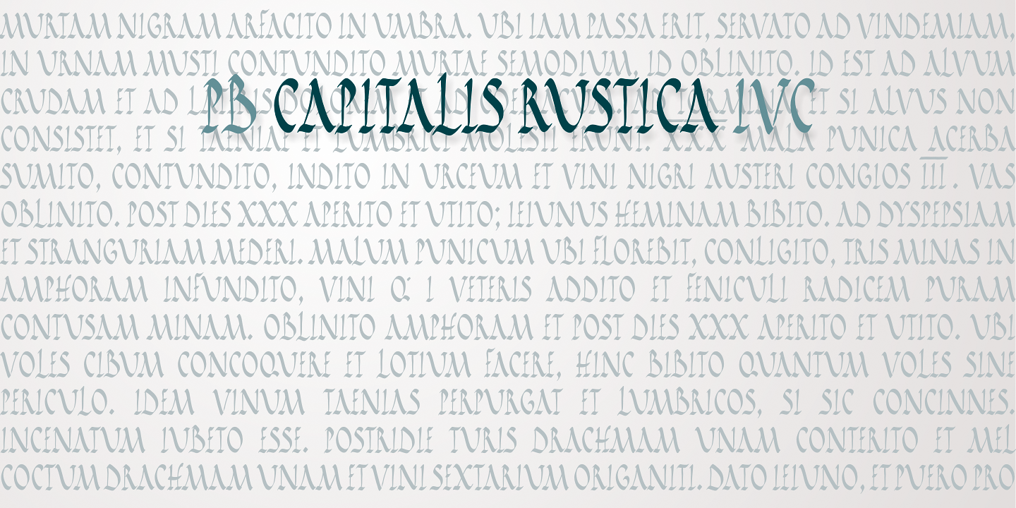 PB Capitalis Rustica IVc