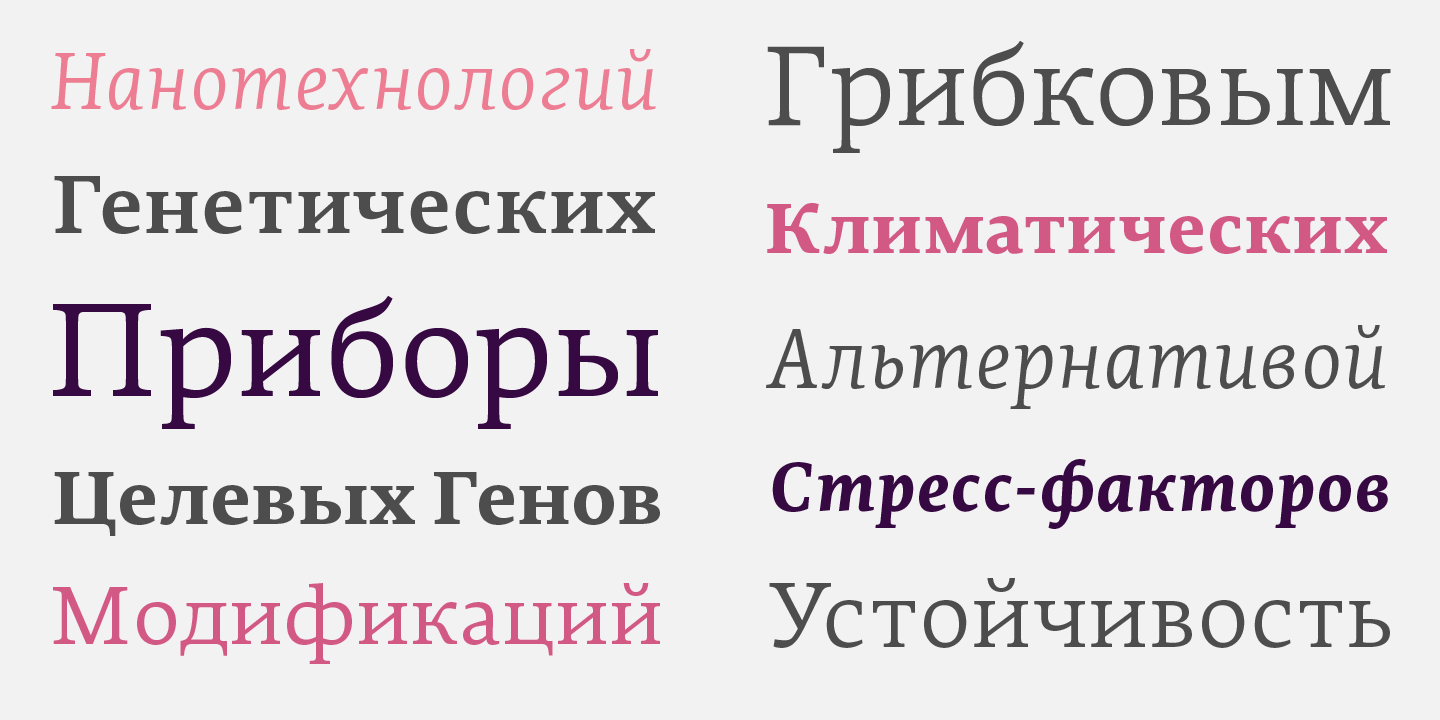 Edit Serif Cyrillic™