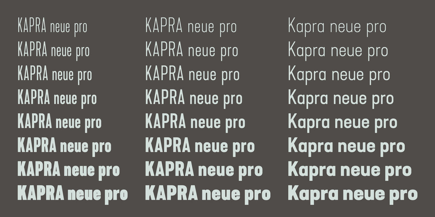 Kapra Neue Pro