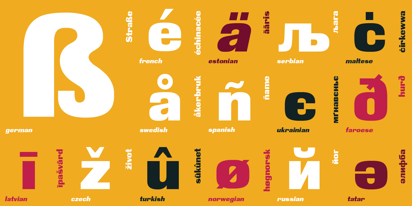 Tagir Safayev Myfonts