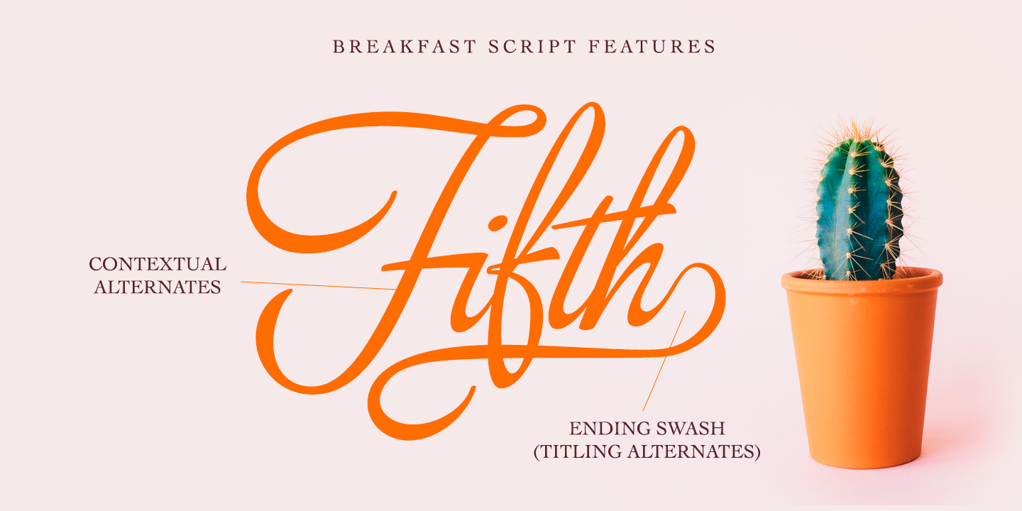Breakfast Script