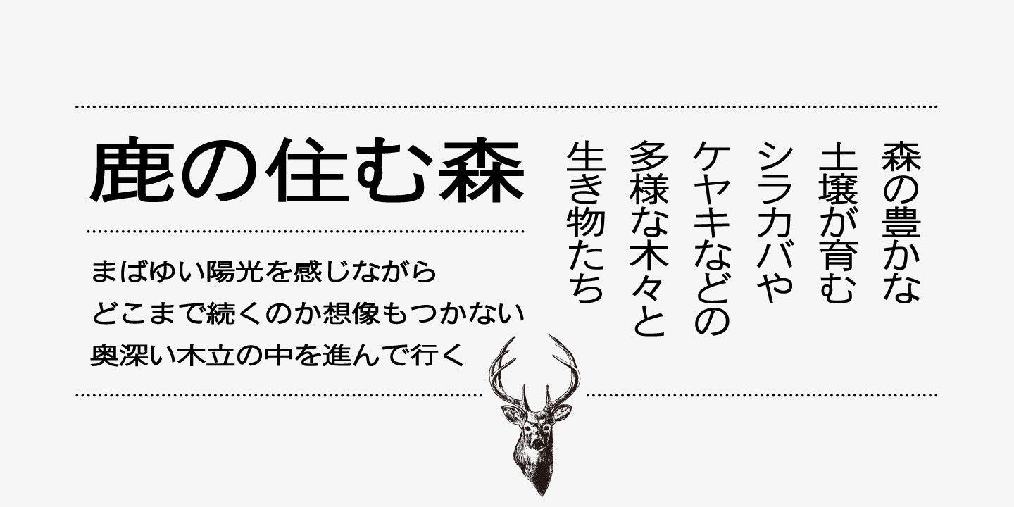 Iwata News Gothic Pro