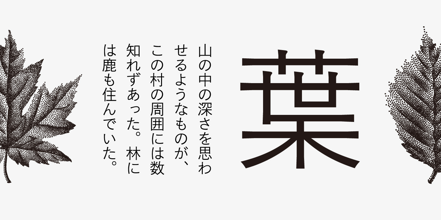 Iwata Gothic Old Std