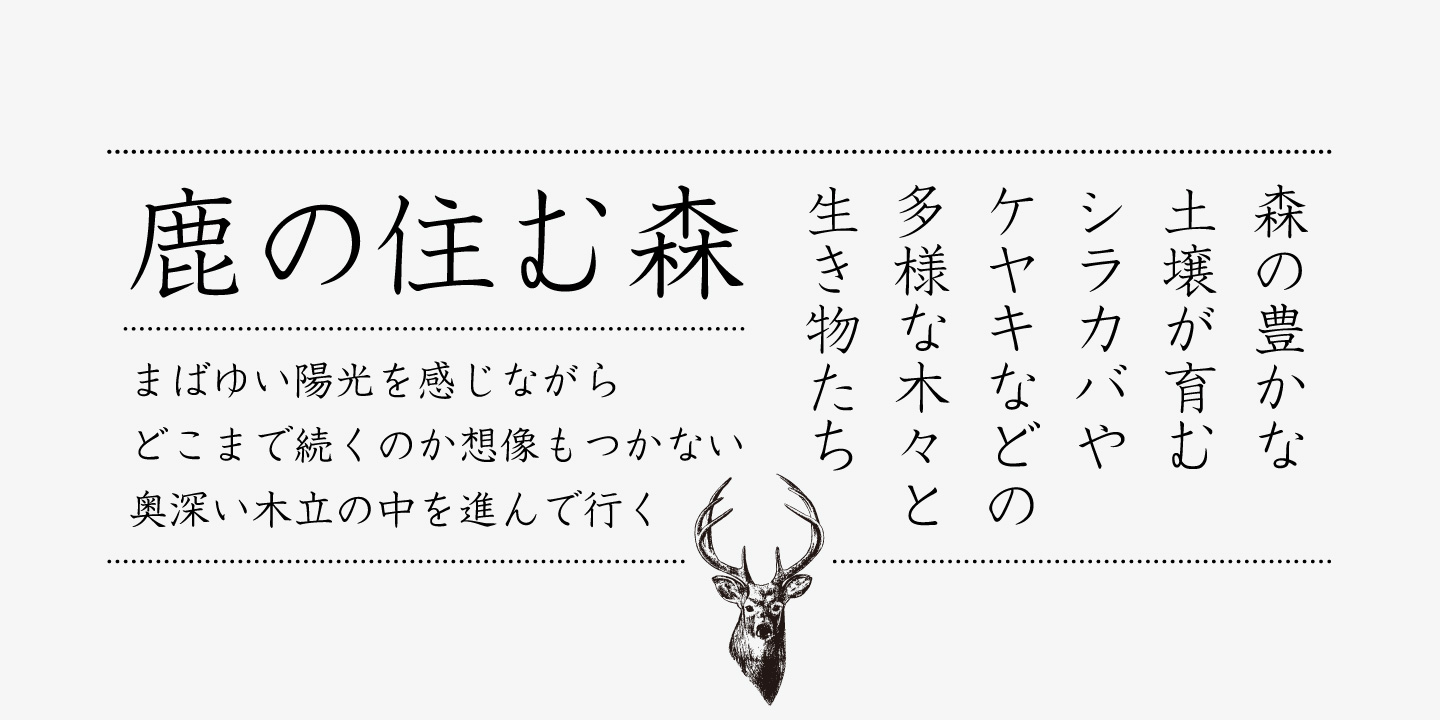 Iwata GKyoukasho Pro