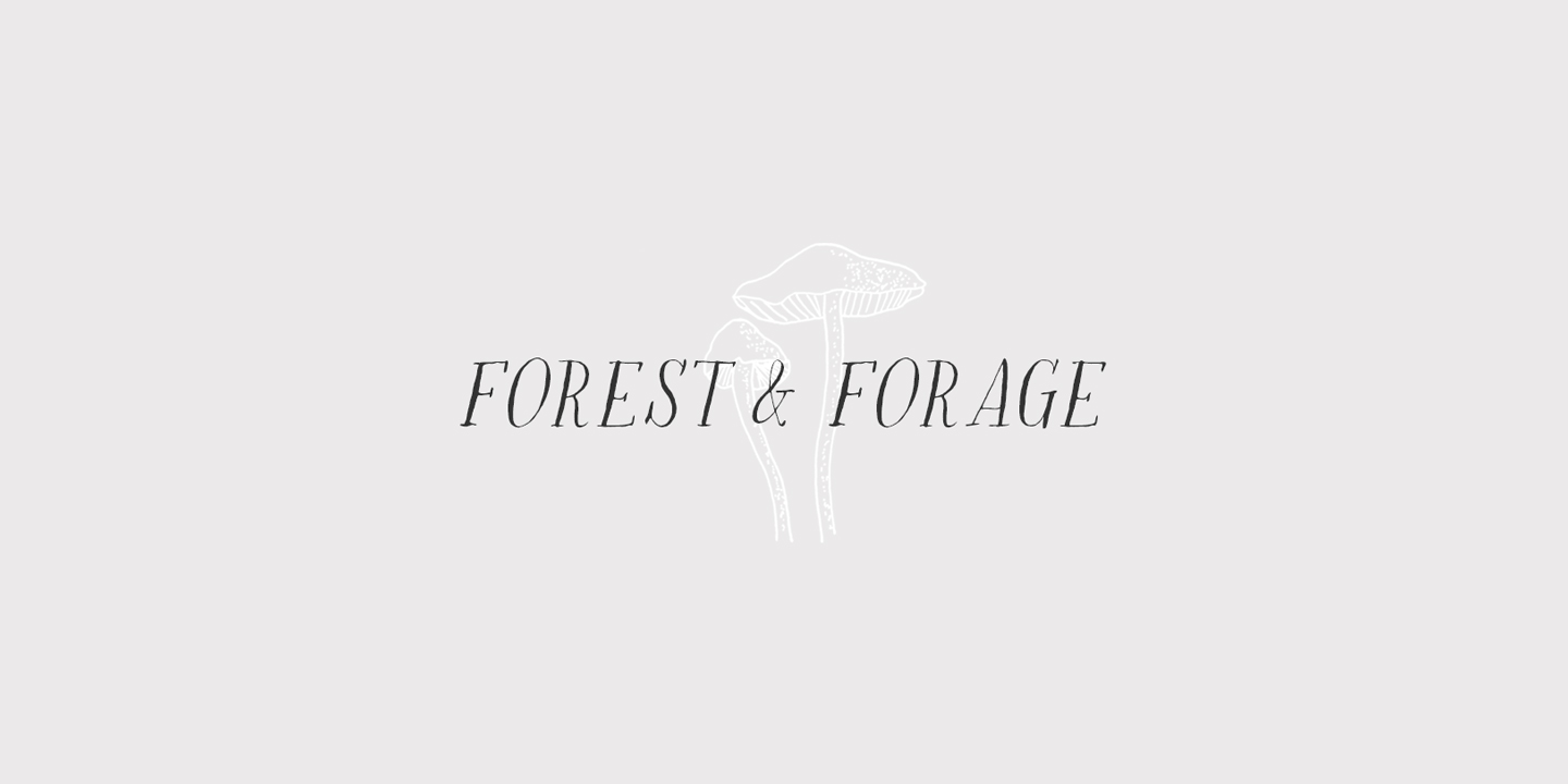 Rare Bird Specimen V