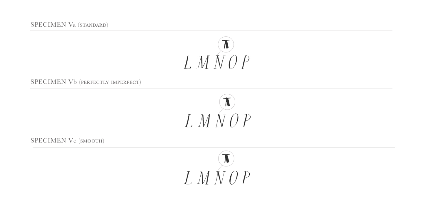 Rare Bird Specimen V