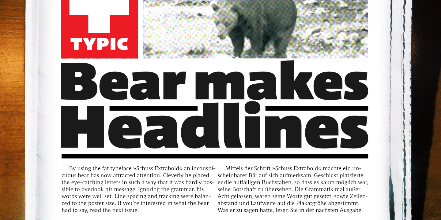 Schuss Sans CG Poster Extrabold