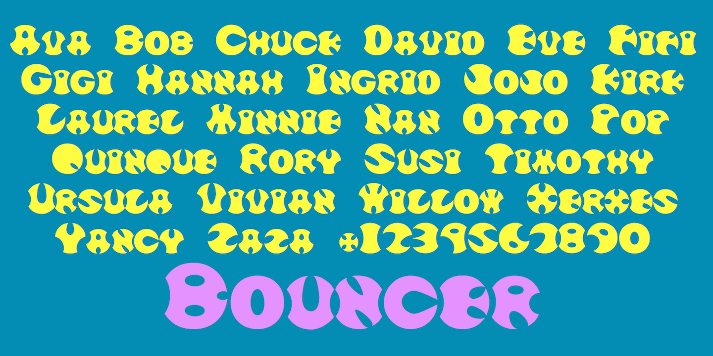 Bouncer™