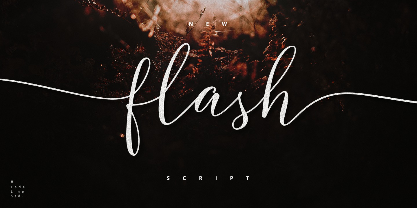 Flash Script