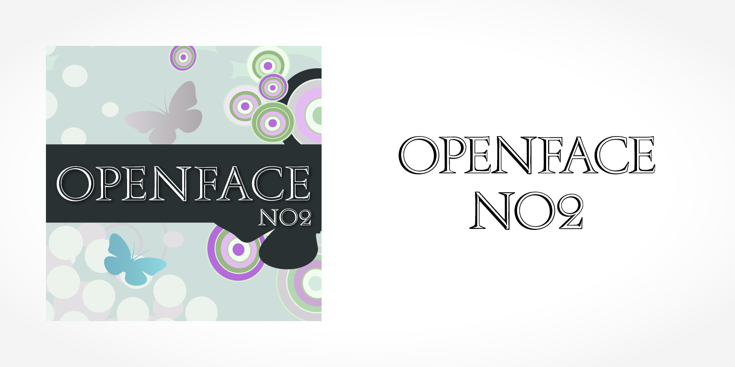 Openface No2