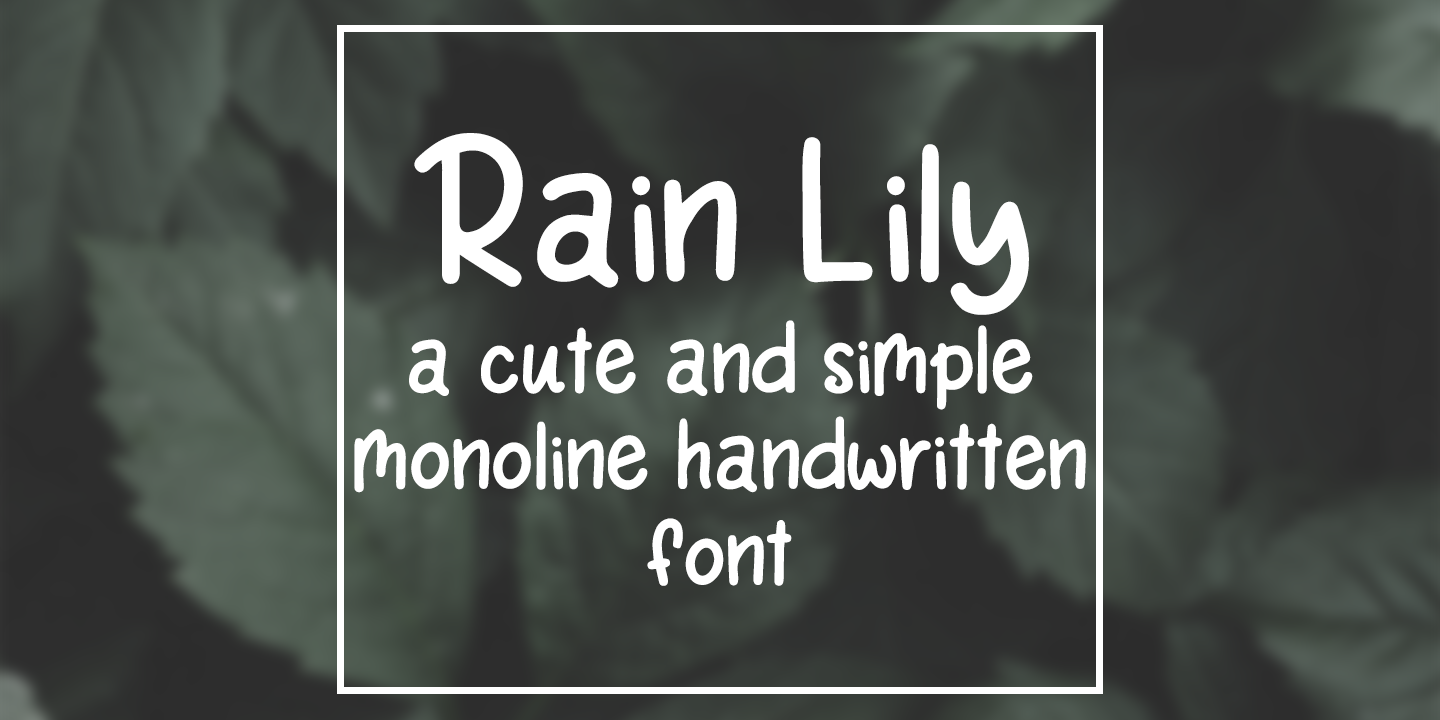 Rain Lily
