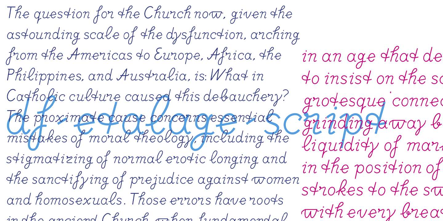 DF Etalage Script™