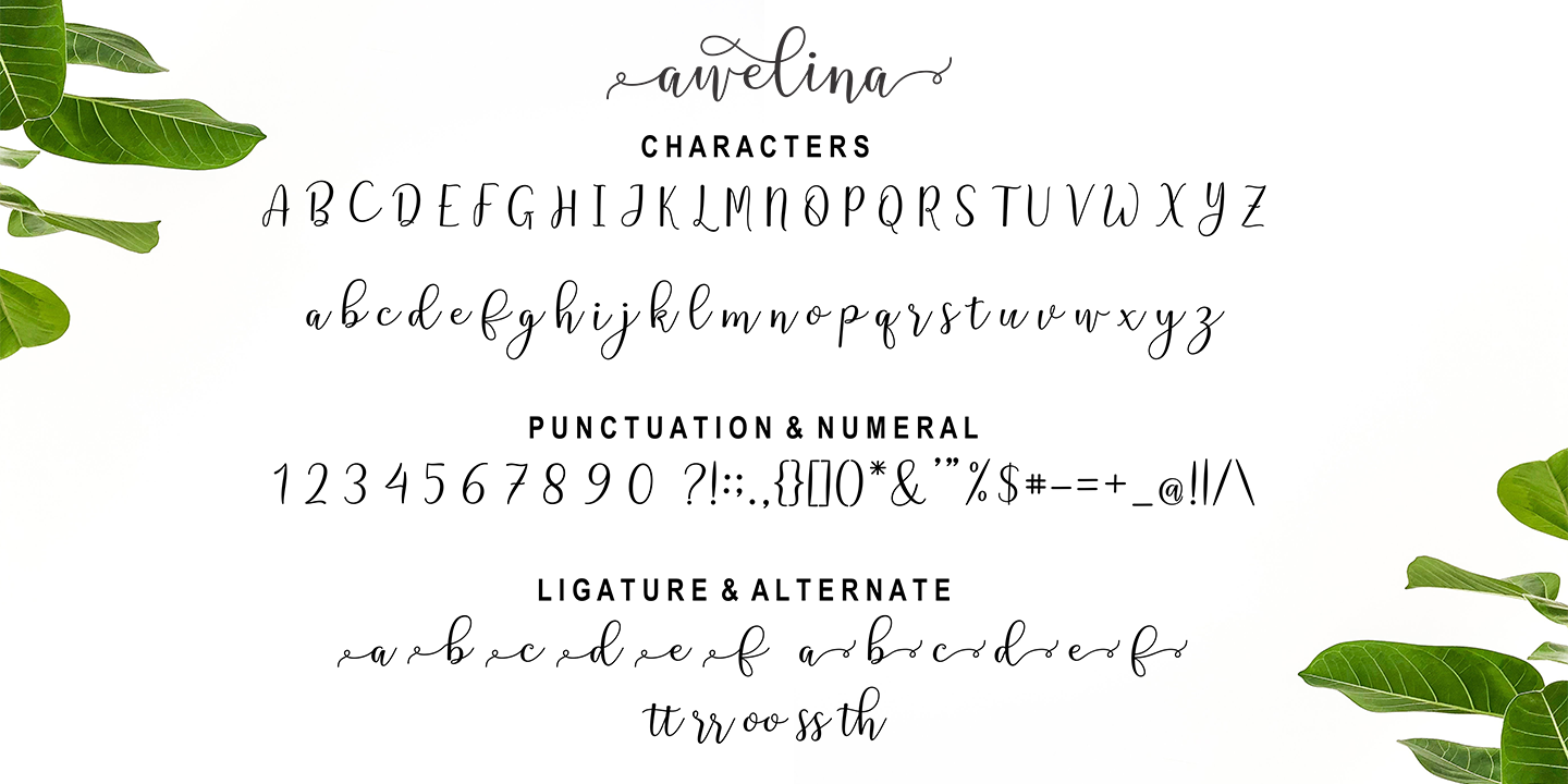 Awelina Script
