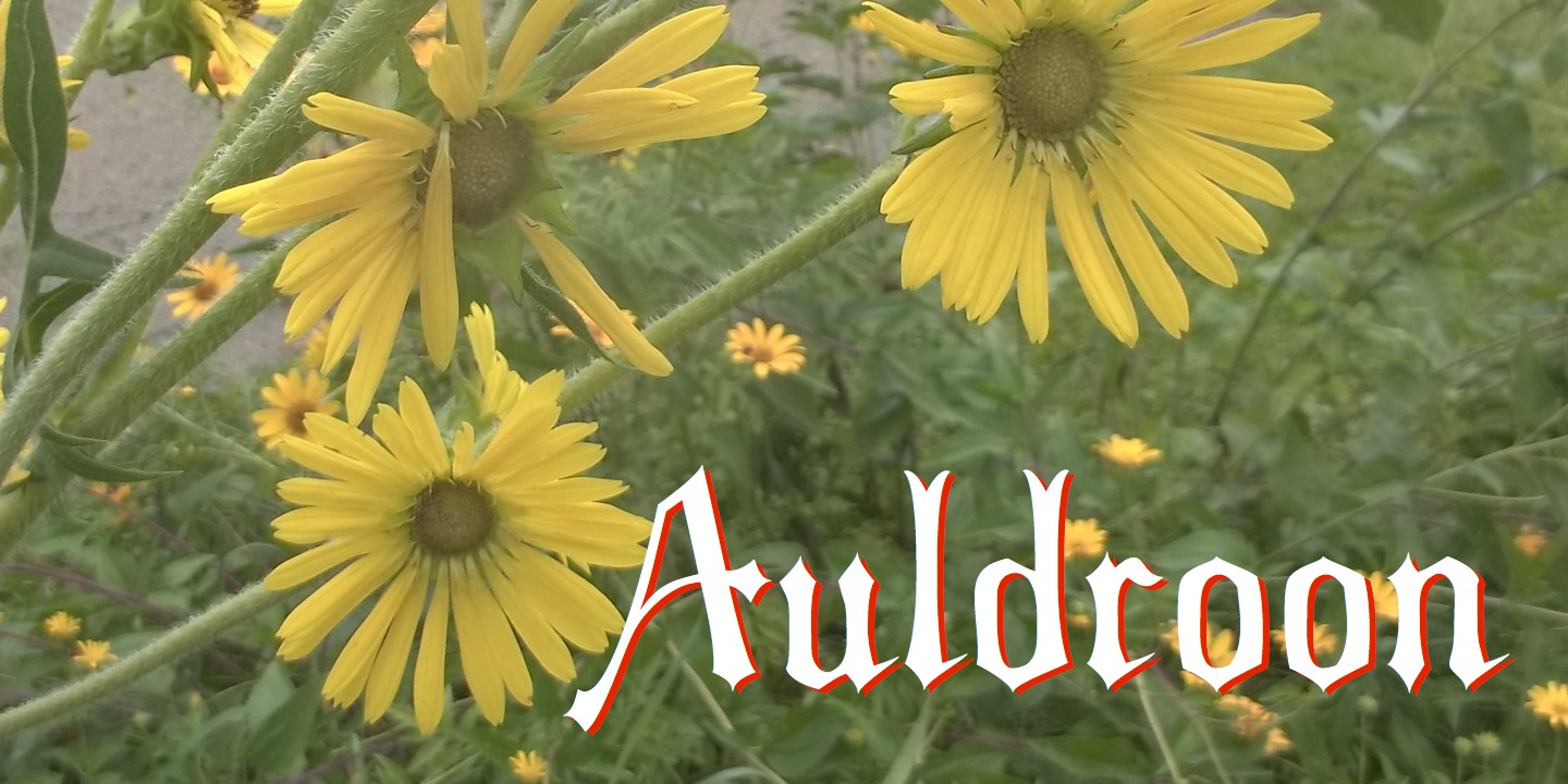 Auldroon
