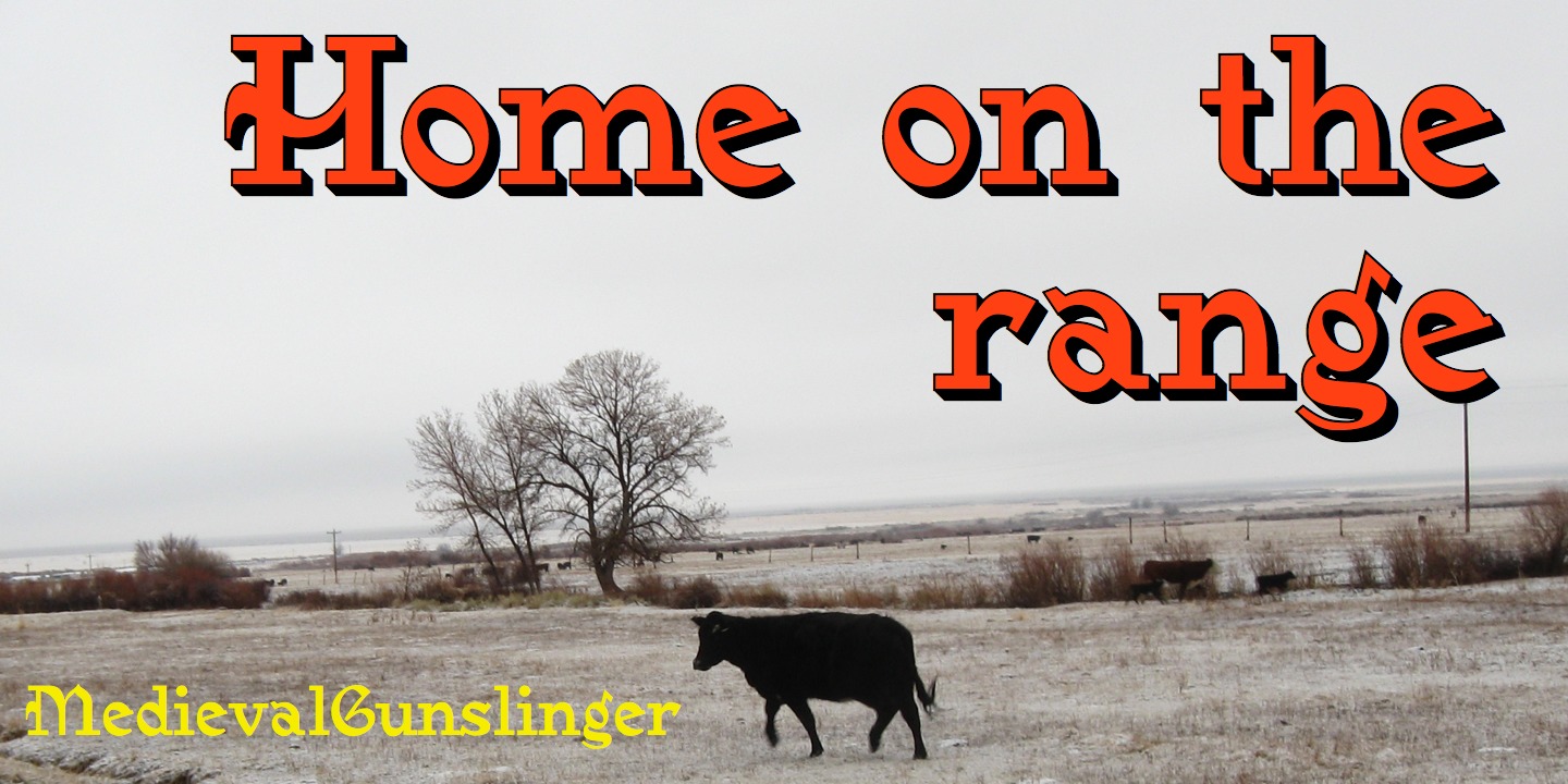 Medieval Gunslinger™