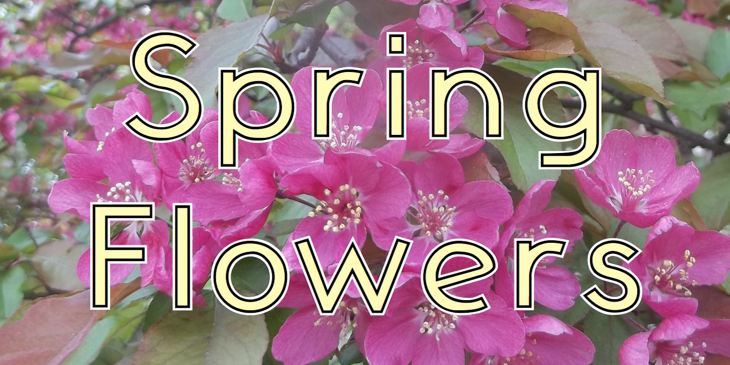 AndrewAndyCollege™