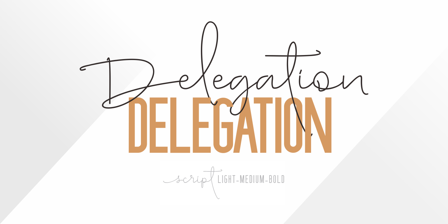 Delegation 