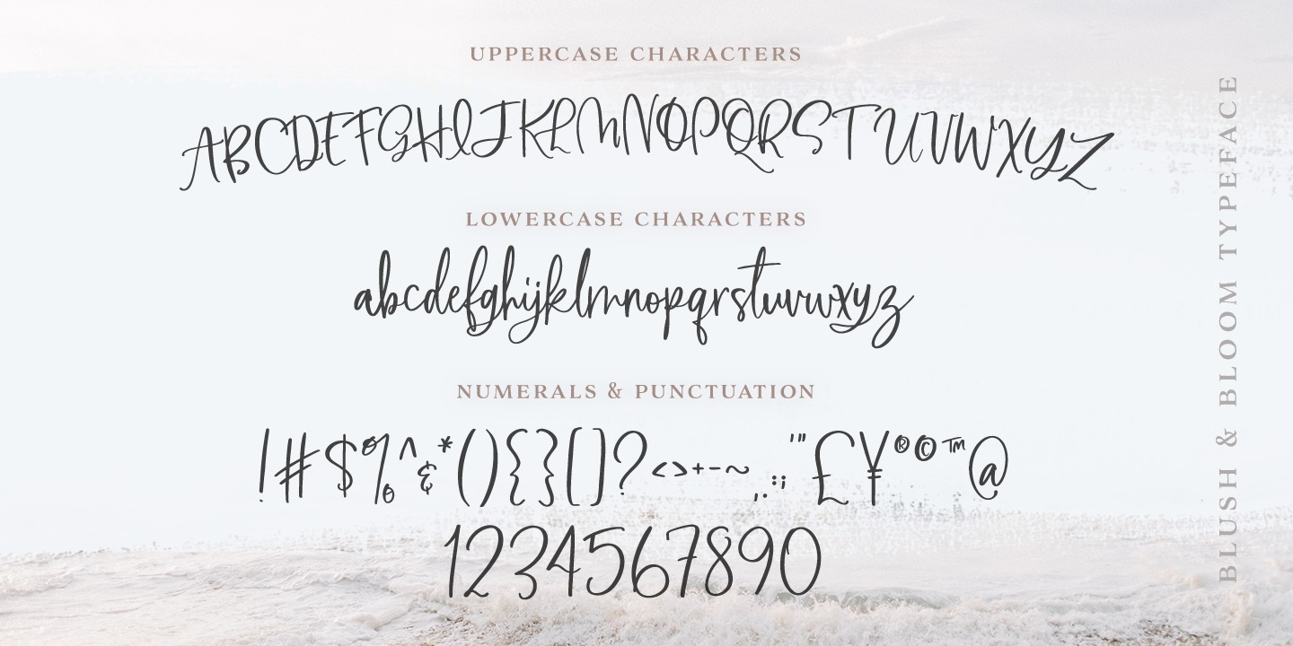Blush And Bloom Font font & Desktop MyFonts