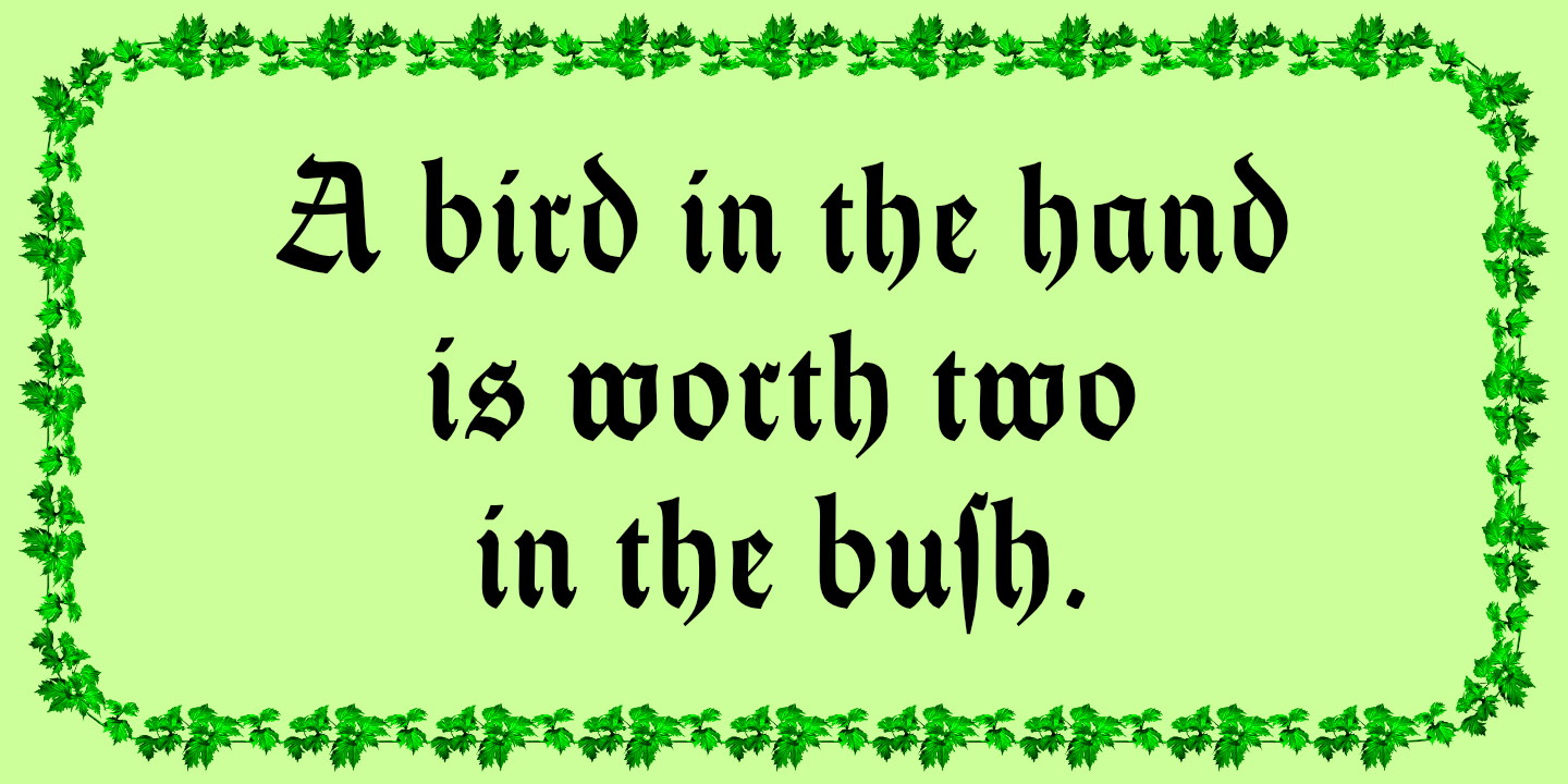 Thannhaeuser Fraktur™