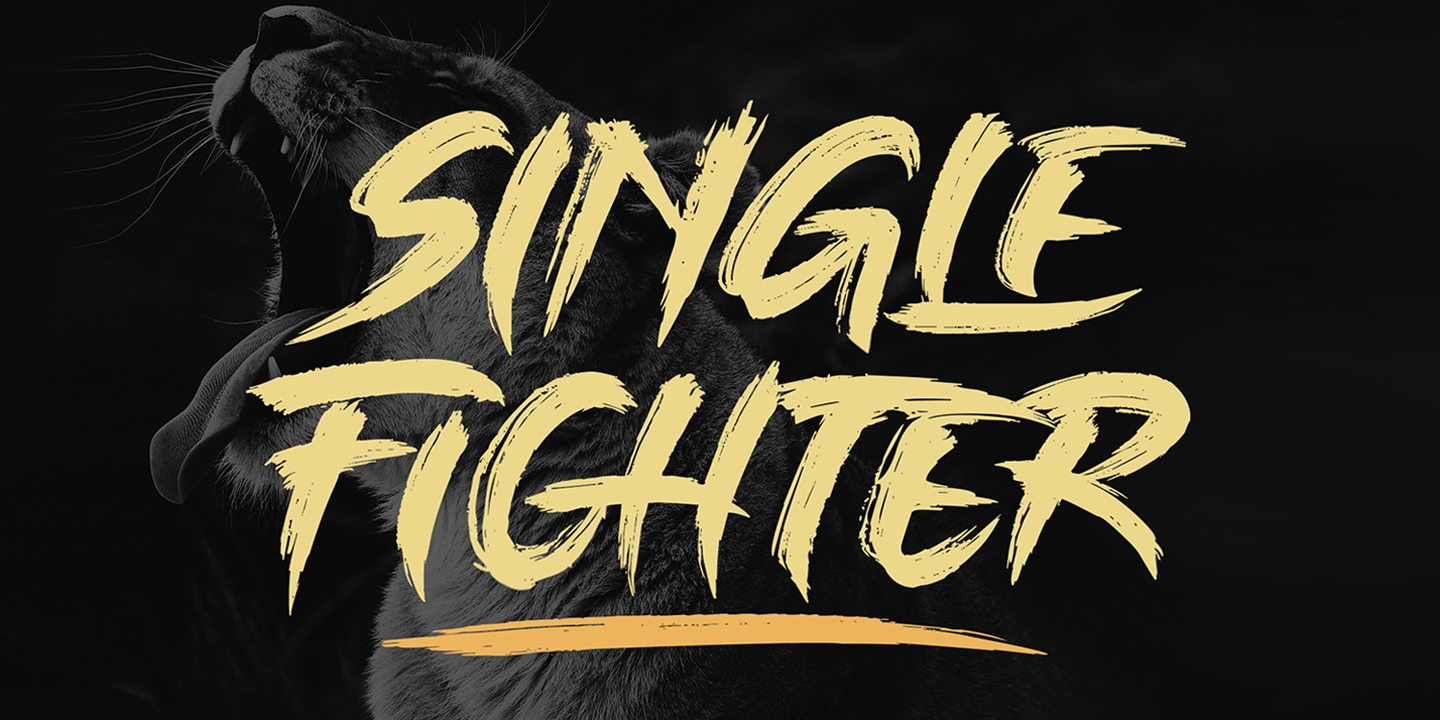 Single Fighter