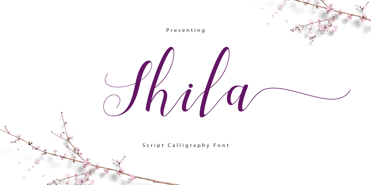 Shila Script