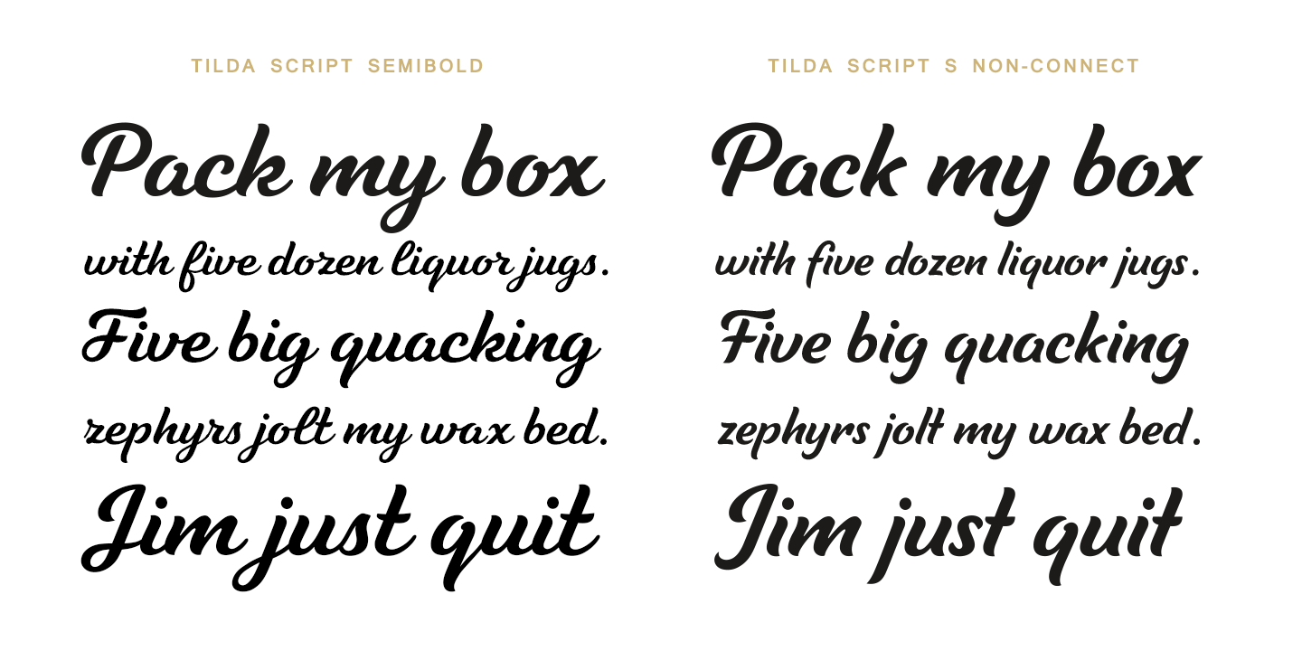 Tilda Script