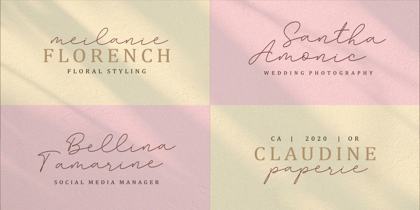 Amalina Script Font | Webfont & Desktop | MyFonts