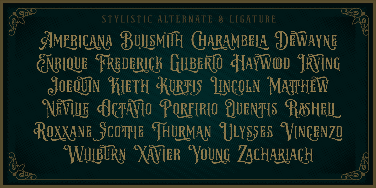 NS Emhericans Vintage 