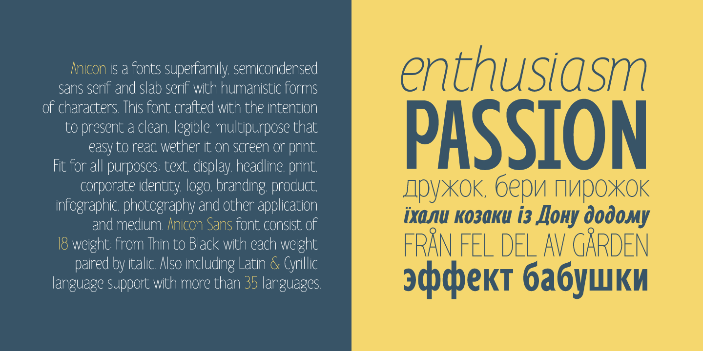 Anicon Sans