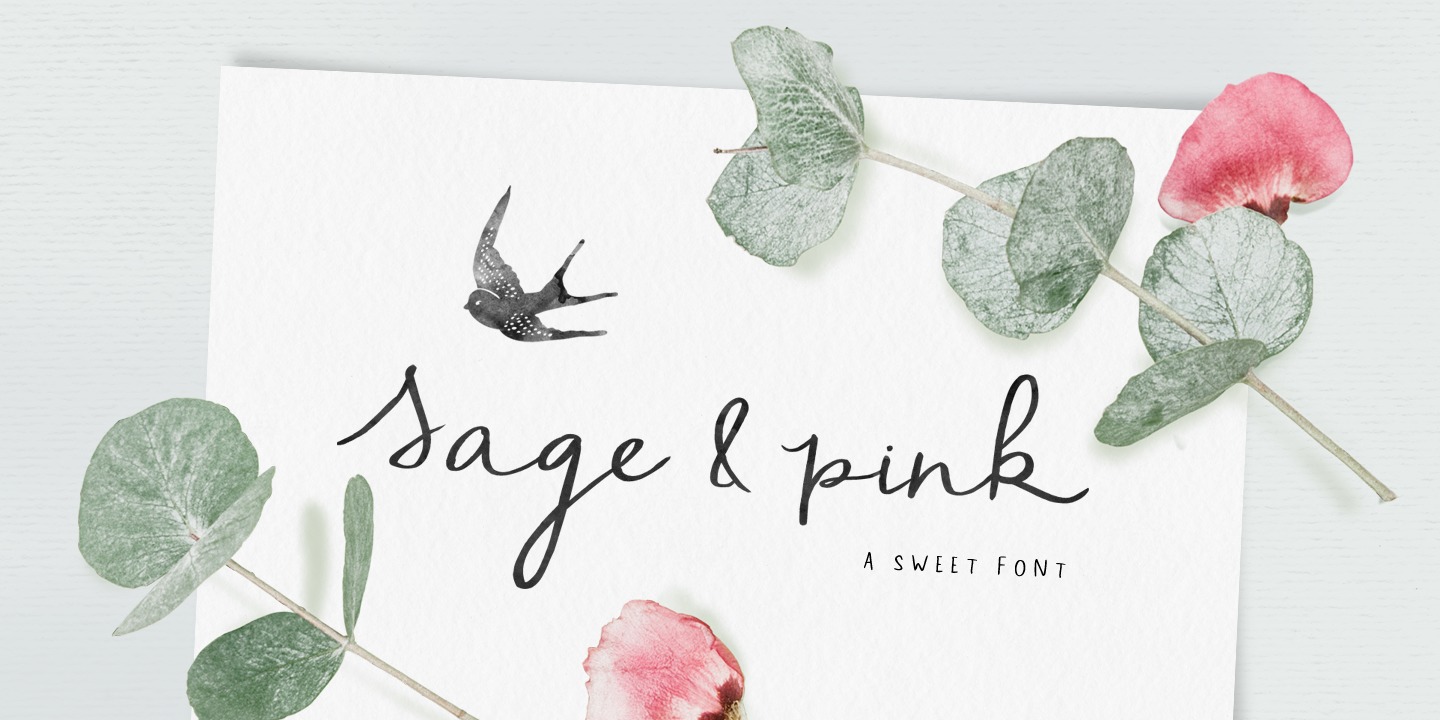 Sage & Pink